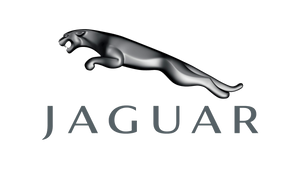 Duragloss Nanoglass Extreme Ceramic Coating for New Jaguar